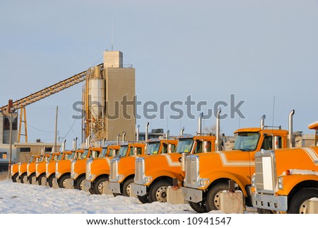 A Line of Yellow Trucks