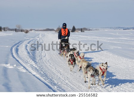Sled Dog Racing
