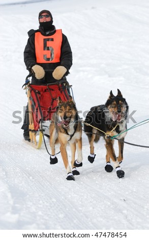 Dog Sled race with the two strongest dogs and the musher