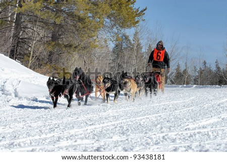 Dog sled team musher running his team through the mountains.