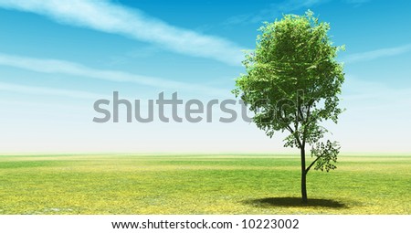 Spring scenery with lonely birch-tree