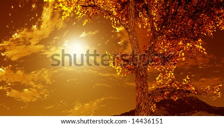 Autumn scenery