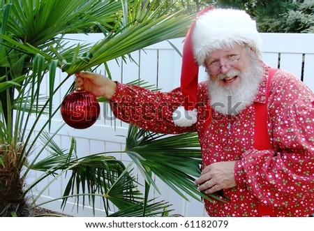 Santa Claus decorating a palm tree for Christmas.