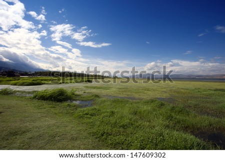 grass land under blue sky,dali,china