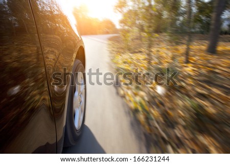 car running on the road in fall season forest