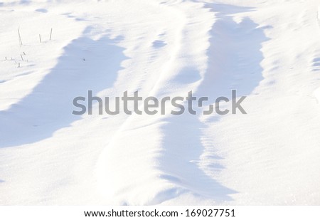 ground covered by snow in winter season