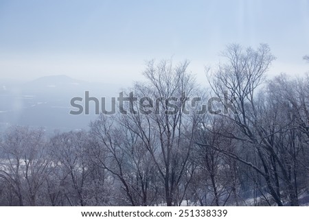forest in winter with snow,china