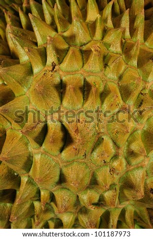 King of fruits, durian isolated on white background