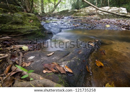 Streams in the forest with wide lens low angle