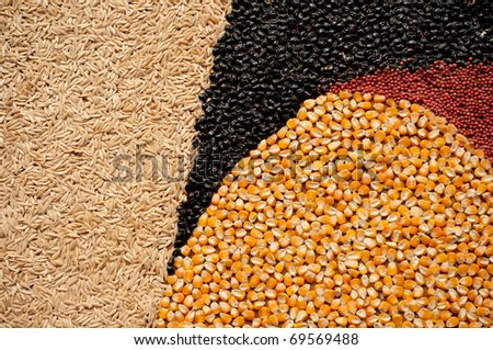 Colorful cereal seeds background. Abstract  background