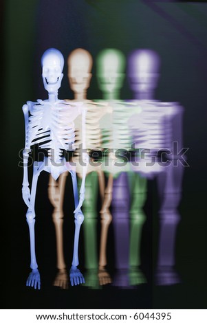 Skeletons Standing with Black Background