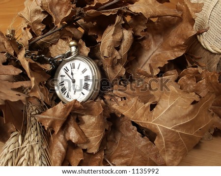 Time for autumn. Clock sleep in corn and oak leaves.