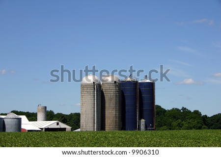 Vegetable/grain farm in rural New Jersey. Outbuildings and silos at the end of the fields.