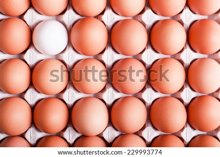 brown eggs arranged in a tray in the upper left corner of the egg white top view