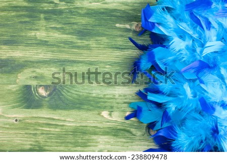 blue feather boa on a green chalkboard with space for text on the left