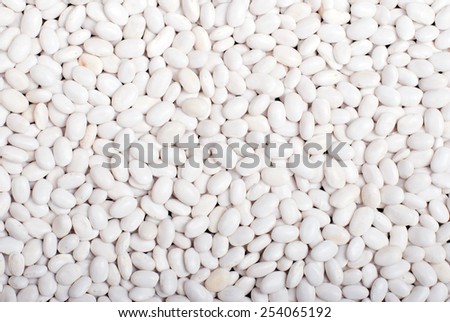raw white beans on  board dietetic food