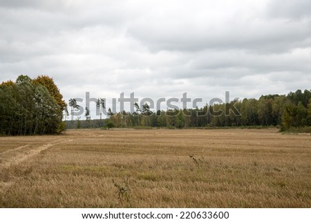 Country landscape under morning sky with clouds. Overcast sky before storm.