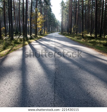 Morning sun beams over autumn road in the country