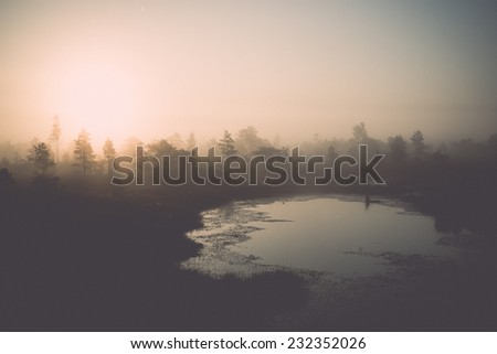 Beautiful tranquil landscape of misty swamp lake with mist and boardwalks. Vintage effect.