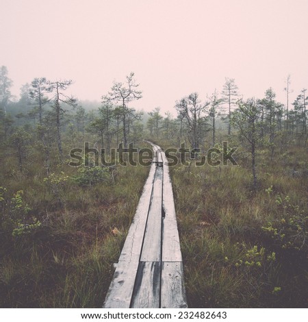 wooden footbridge in the bog in the countryside. Vintage photography effect.