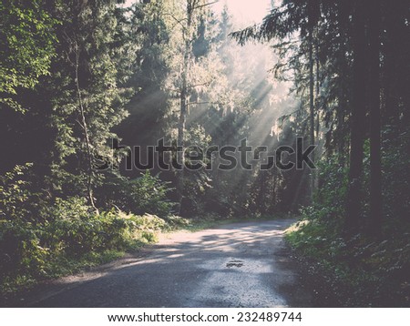 forest road with sun rays in the morning in the countryside. Vintage photography effect.