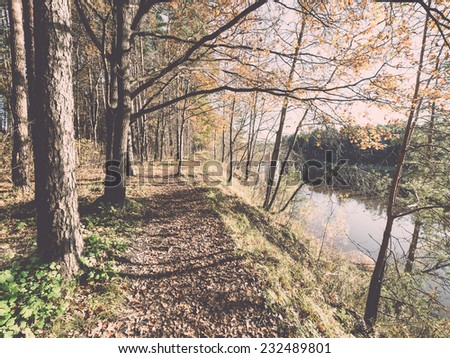 autumn colored tourism trail in the woods in the countryside. Vintage photography effect.