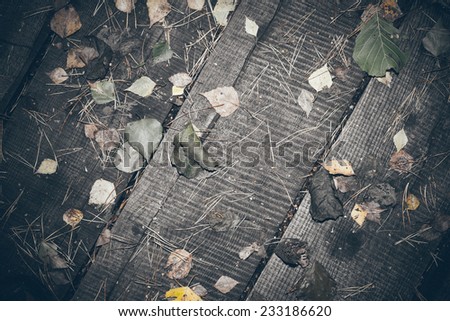 old wooden planks covered with autumn leaves. Vintage photography effect. Retro grainy color film look.