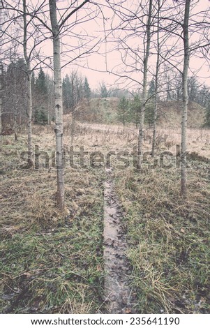 icy rural landscape with trees and land in countryside. vintage film effect retro