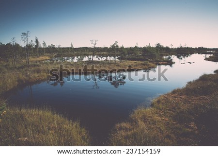 Beautiful tranquil landscape of misty swamp lake with mist and boardwalks - retro, vintage style look