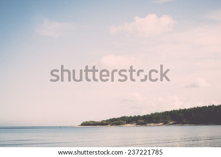 beach view with plants in water and blue sky - retro, vintage style look