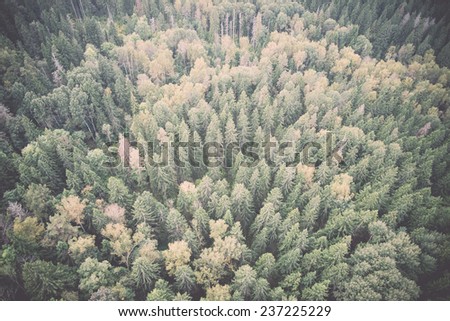 forests from above - retro, vintage style look