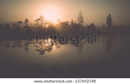 Beautiful tranquil landscape of misty swamp lake with mist and boardwalks - retro, vintage style look