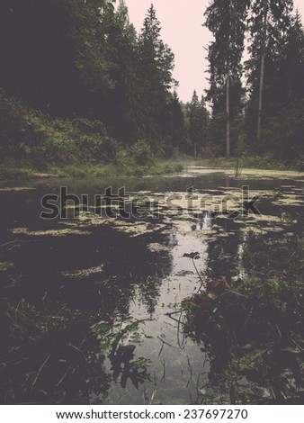 old river bank with reflections in water. Latvia. - retro, vintage style look