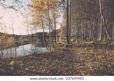 autumn colored tourism trail in the woods in the countryside - retro, vintage style look