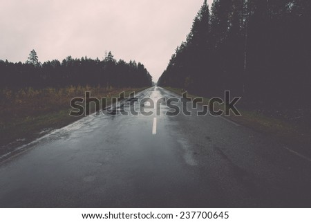 wet asphalt road with sun reflections and trees - retro, vintage style look