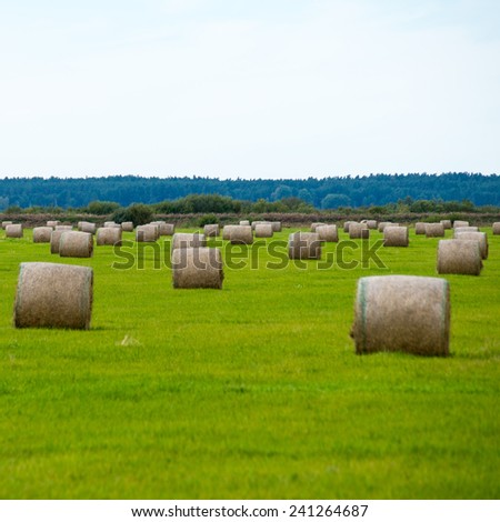 rolls of hay in green field in country - square image