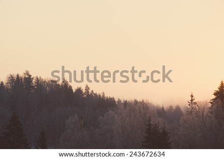 beautiful dark colorful sunrise over forest in winter frost - retro vintage style look