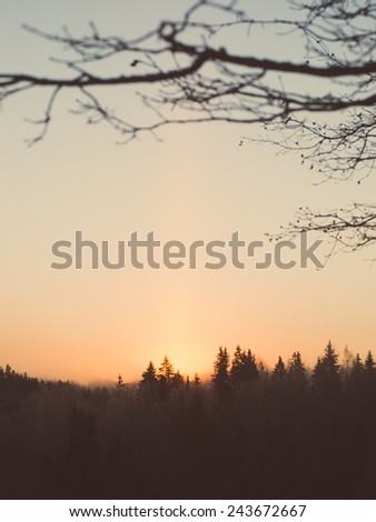 beautiful dark colorful sunrise over forest in winter frost - retro vintage style look