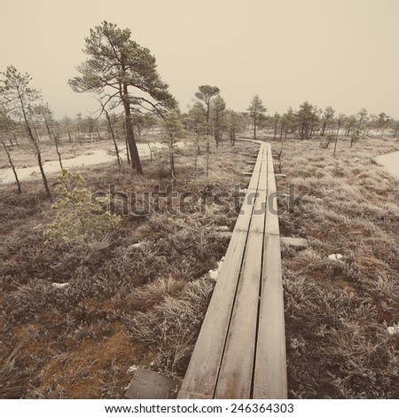 wooden boardwalk in frosty winter bog landscape with frozen nature - retro vintage effect