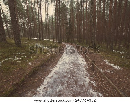 tourist trail in winter forest with snow covered trees in country - aged photo effect, vintage retro