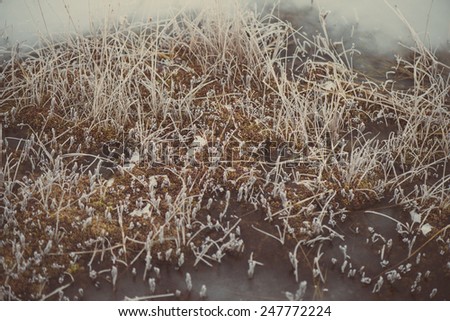 frozen abstract textures in ice with frosty plants - aged photo effect, vintage retro
