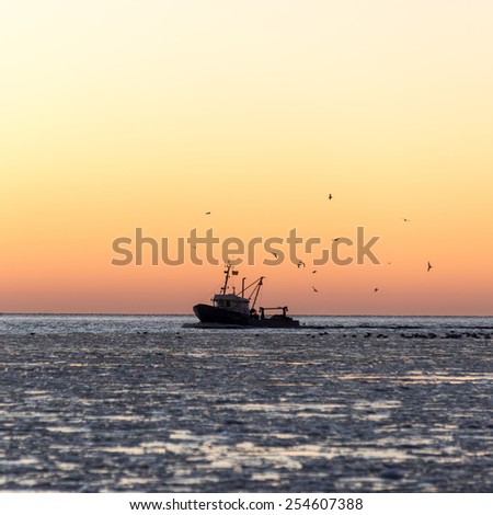 birds flying in sunset over frozen sea and small ship.