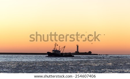 birds flying in sunset over frozen sea and small ship.