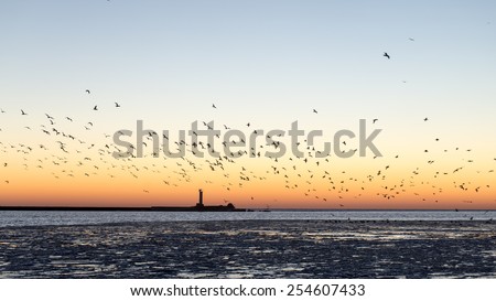 birds flying in sunset over frozen sea with ice blocks and dramatic colorful sky