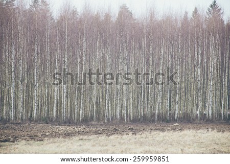 forest textured background of trees and land - grainy retro vintage film effect