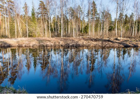 reflections of trees in blue pond water. spring in country