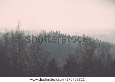 panoramic view of misty rain forest. far horizon - retro vintage film effect