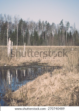 reflections of trees in blue pond water. spring in country - retro vintage film effect