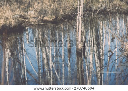 reflections of trees in blue pond water. spring in country - retro vintage film effect