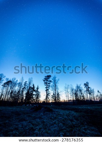 night sky with stars in forest with trees and shadows